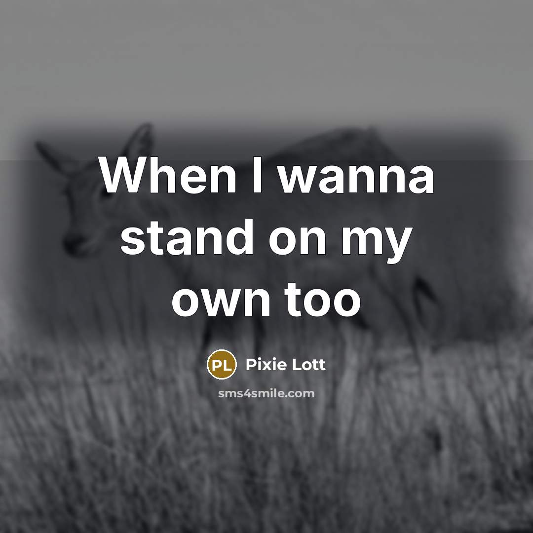 “When I wanna stand on my own too…” quote by Pixie Lott