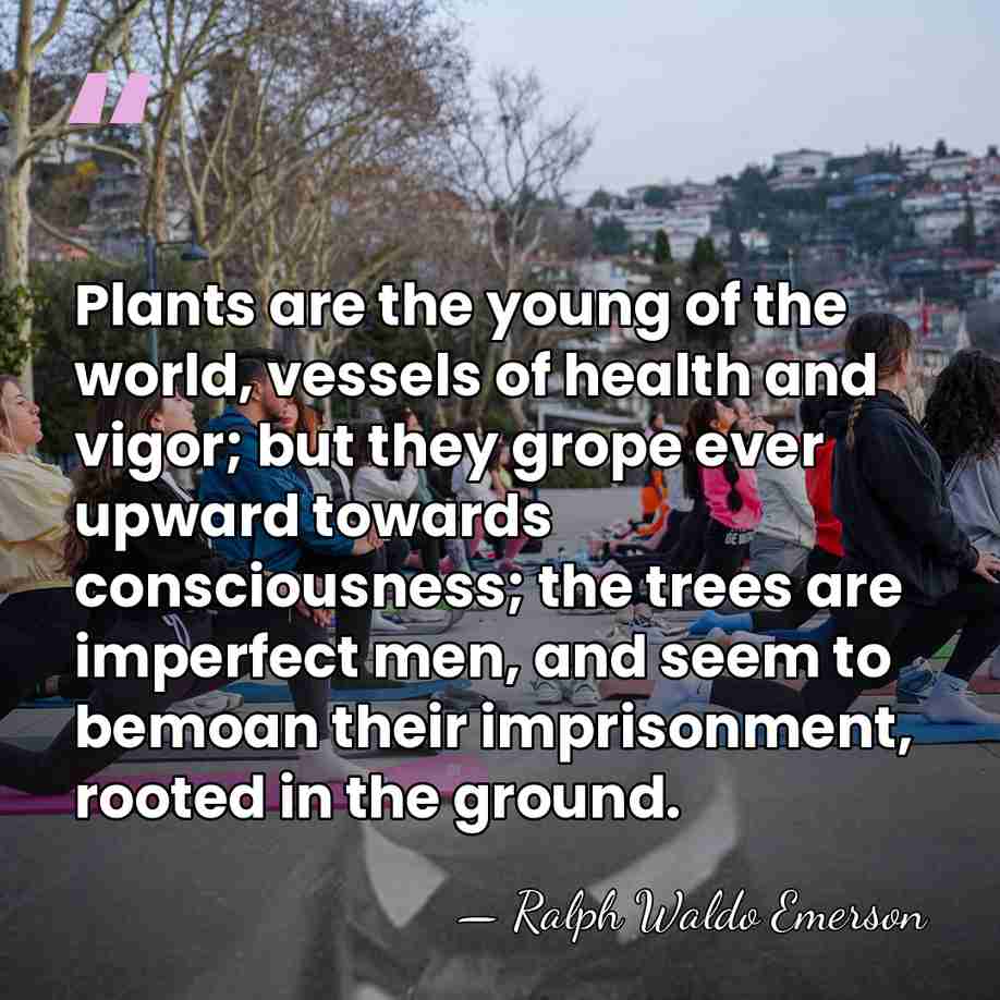 Plants are the young of the world, vessels of health and vigor;&hellip; - Ralph Waldo Emerson