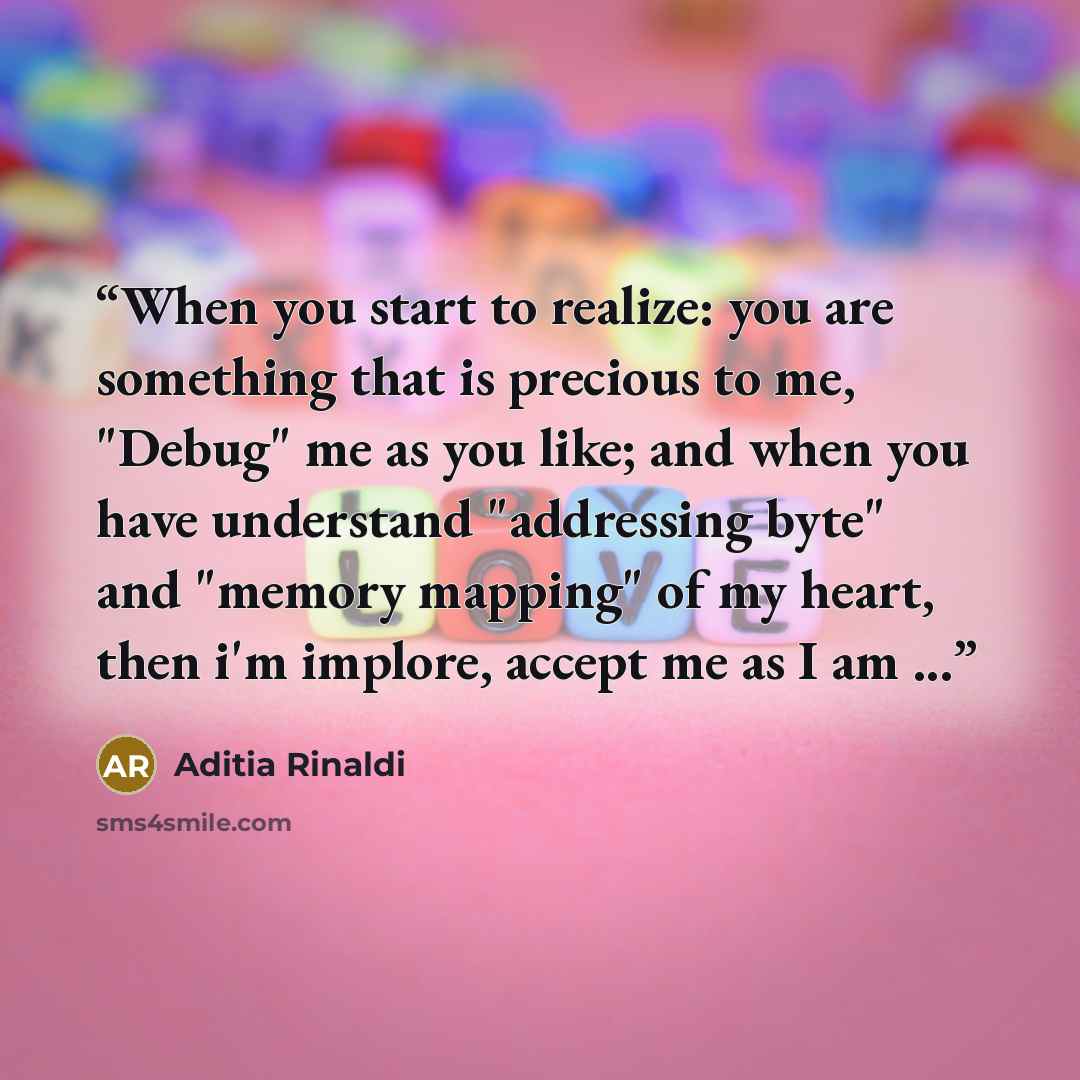 “When you start to realize: you are something that is precious to me, "Debug" me as you like; and when you have understand "addressing byte" and "memory mapping" of my heart, then i'm implore, accept me as I am ...” quote by Aditia Rinaldi