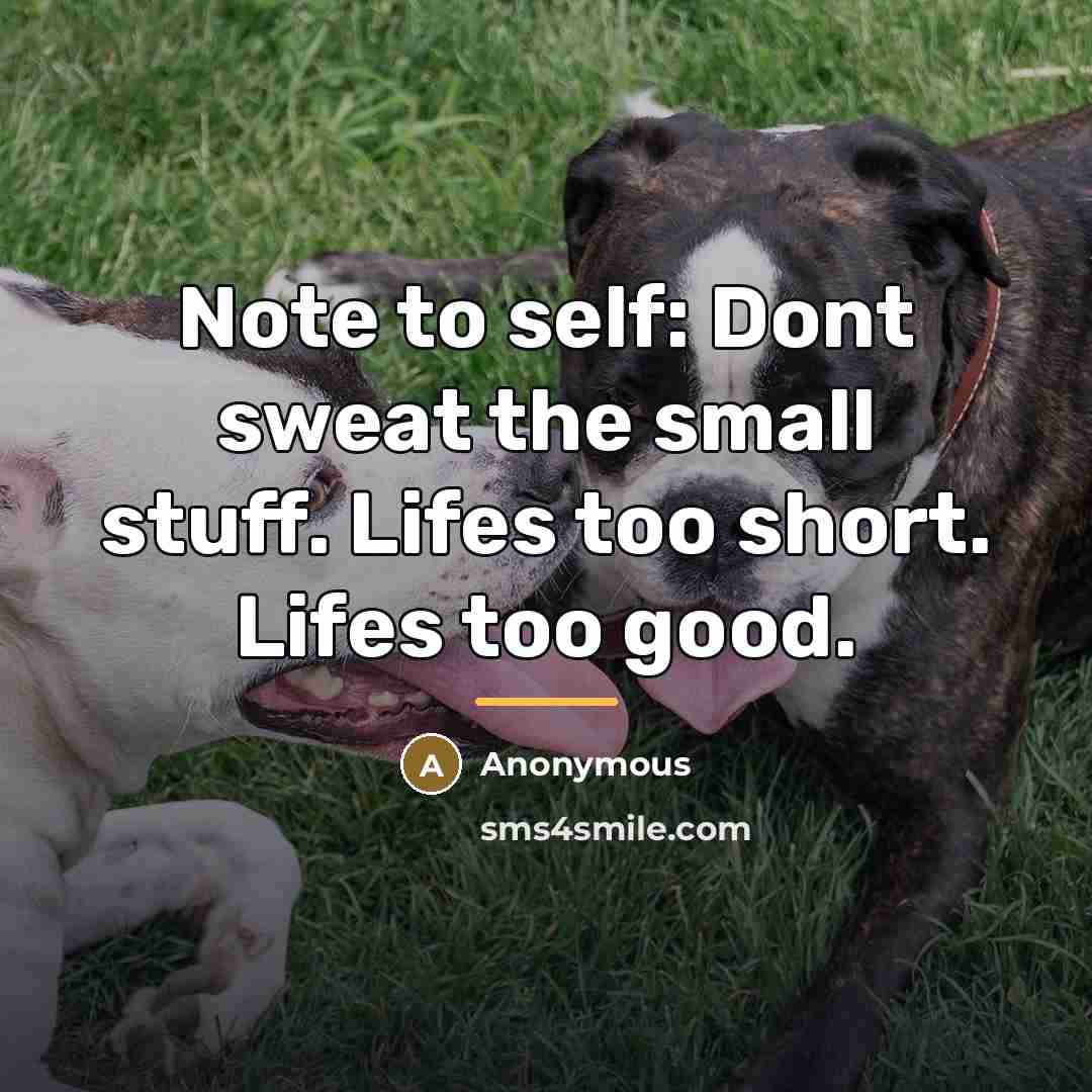“Note to self: Dont sweat the small stuff. Lifes too…” quote by Anonymous