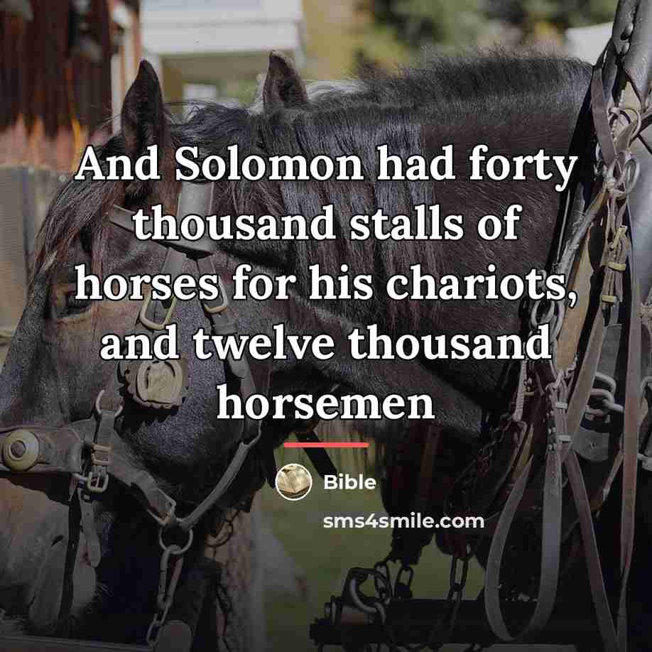 “And Solomon had forty thousand stalls of horses for his…” quote by Bible