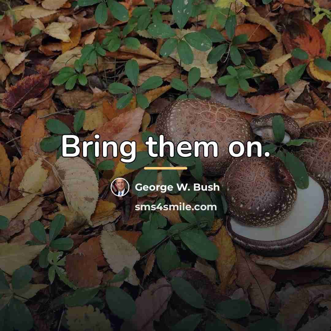 “Bring them on.…” quote by George W. Bush