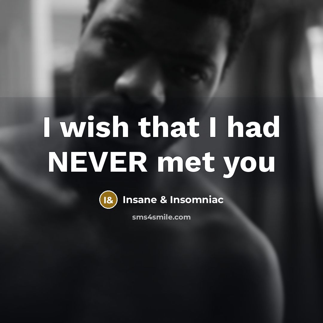 “I wish that I had NEVER met you…” quote by Insane & Insomniac