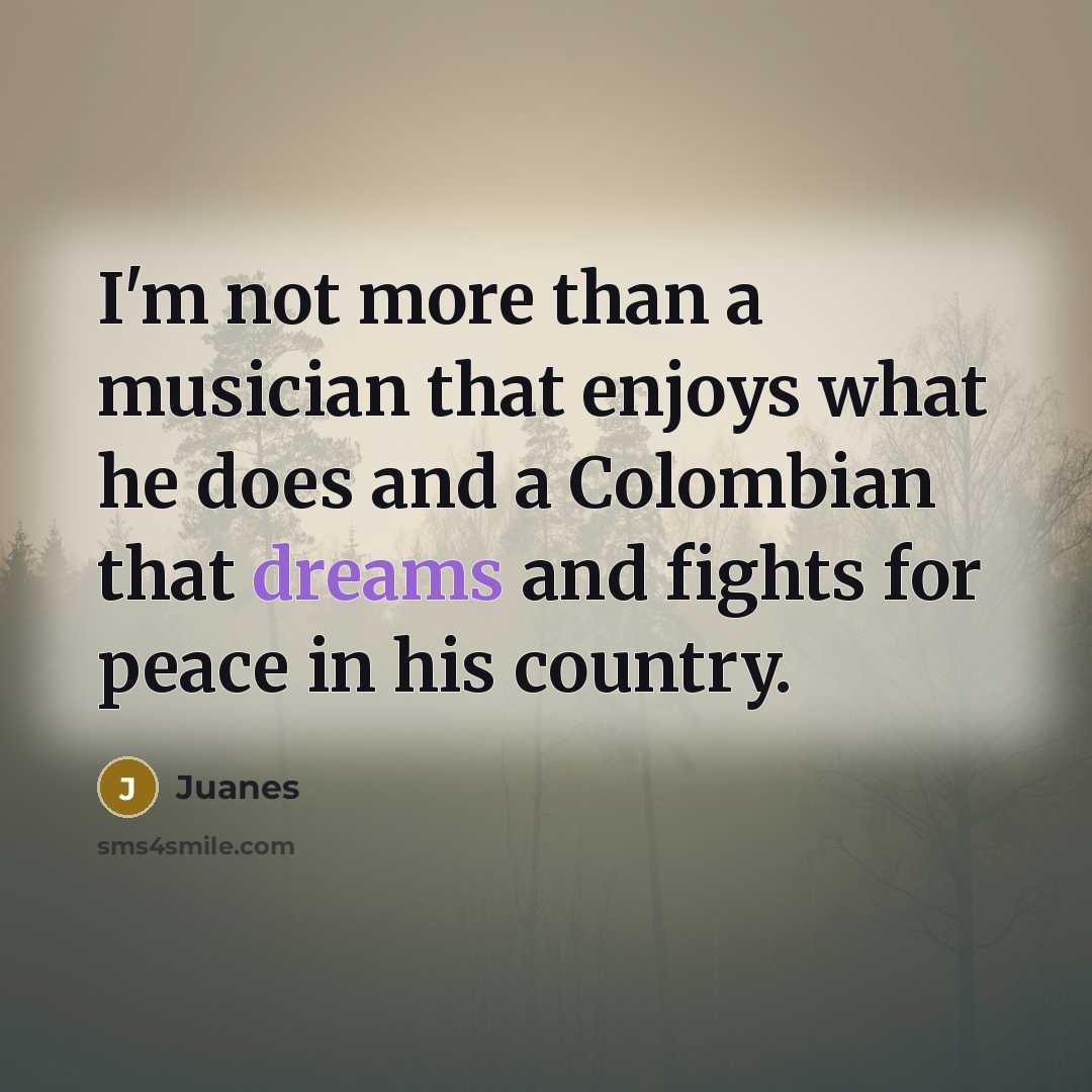 “I'm not more than a musician that enjoys what he…” quote by Juanes