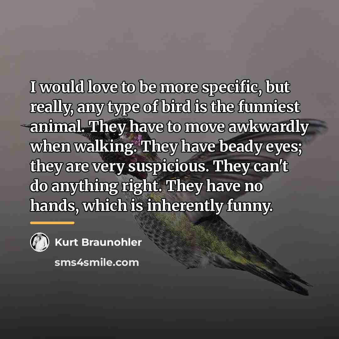 “I would love to be more specific, but really, any…” quote by Kurt Braunohler