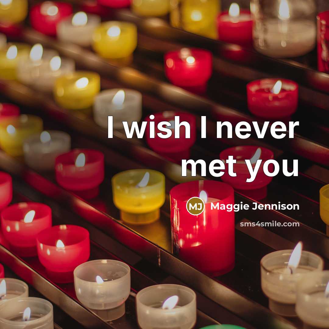 “I wish I never met you…” quote by Maggie Jennison