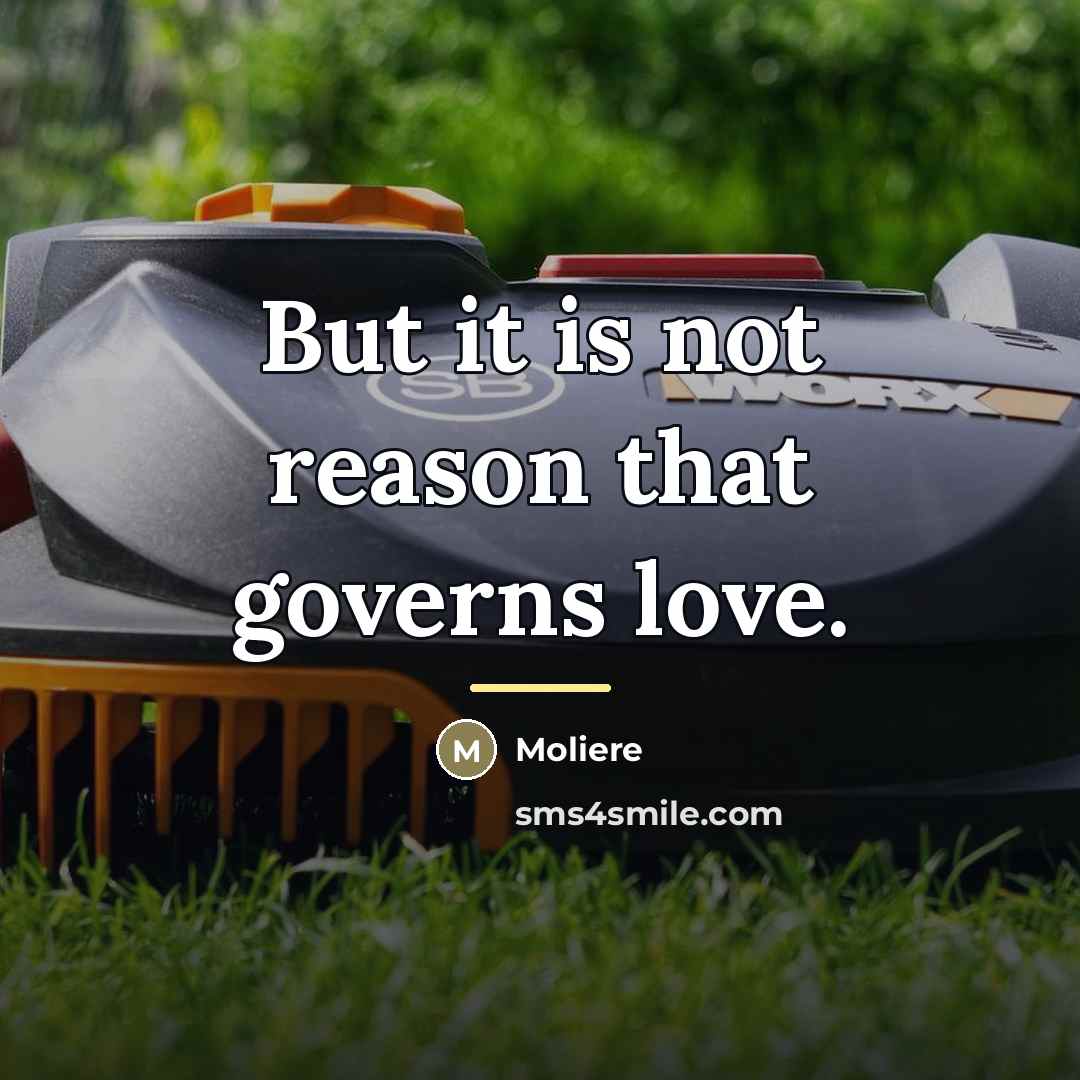 “But it is not reason that governs love.…” quote by Moliere