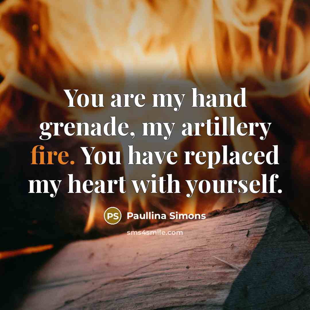 “You are my hand grenade, my artillery fire. You have…” quote by Paullina Simons