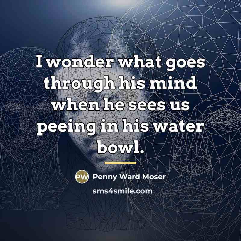 “I wonder what goes through his mind when he sees…” quote by Penny Ward Moser