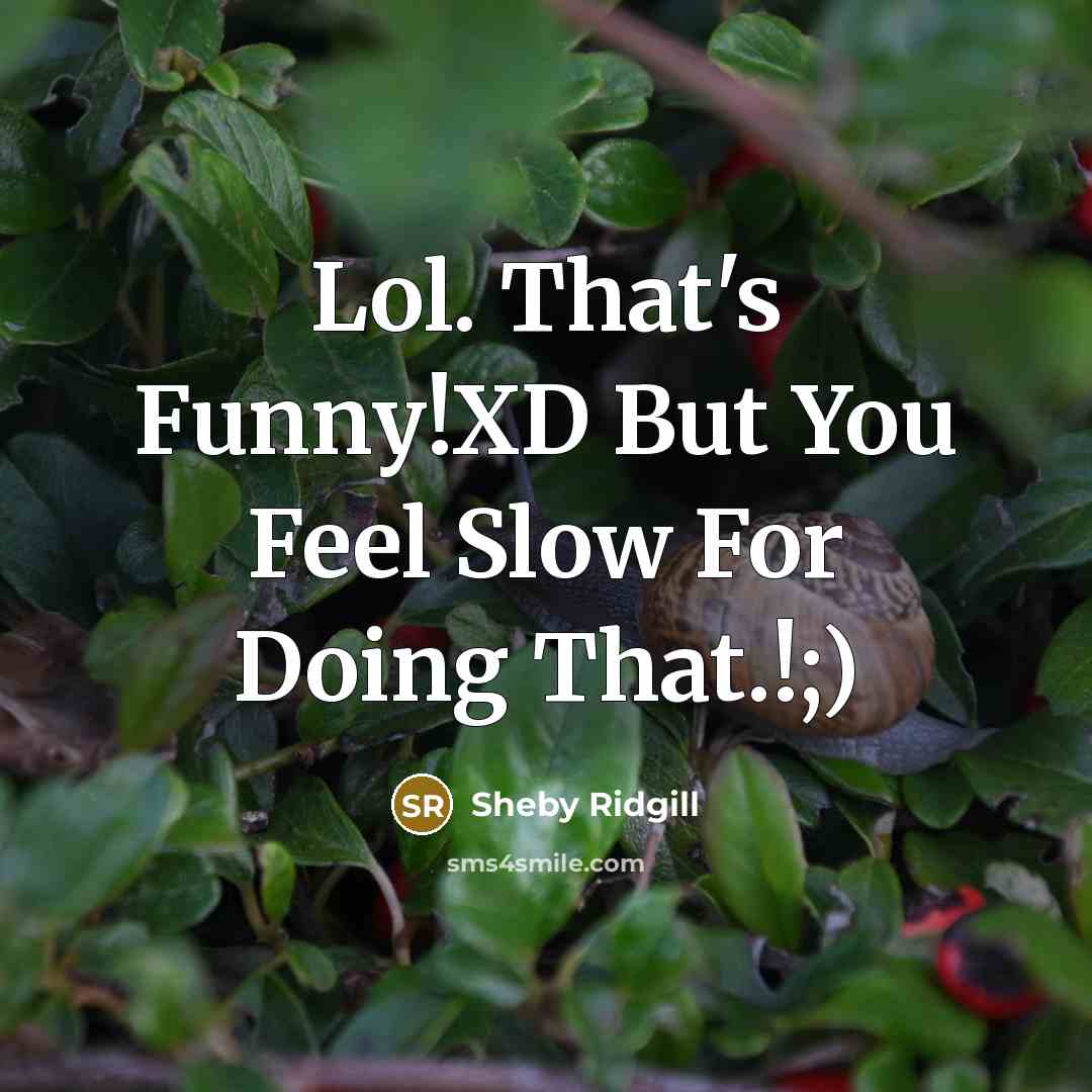 “Lol. That's Funny!XD But You Feel Slow For Doing That.!;)…” quote by Sheby Ridgill