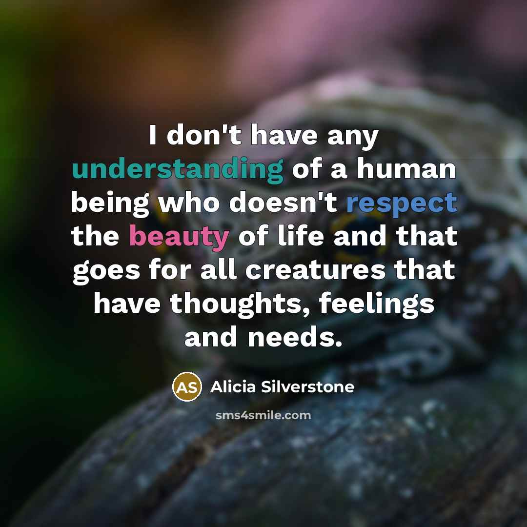 “I don't have any understanding of a human being who…” quote by Alicia Silverstone