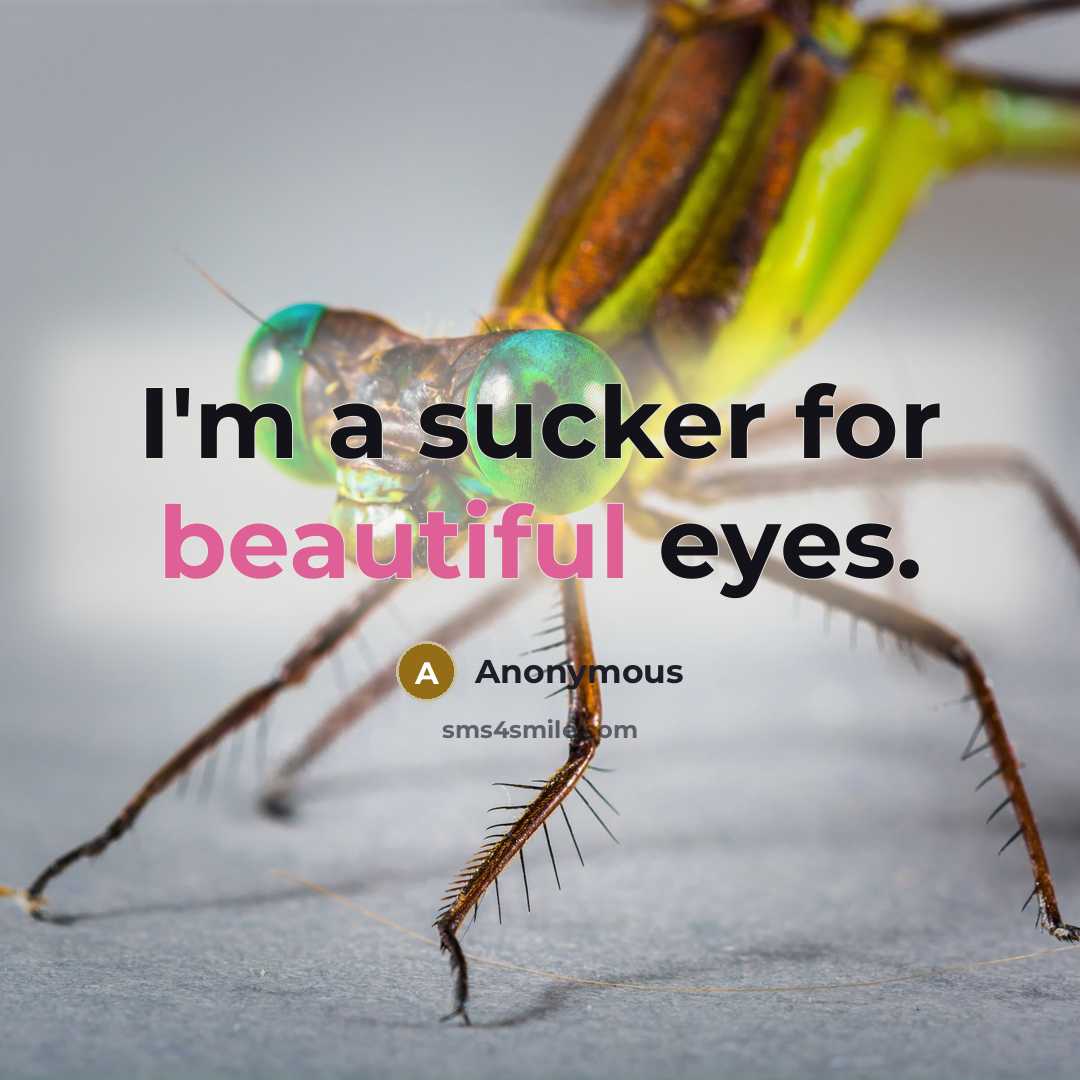 “I'm a sucker for beautiful eyes.…” quote by Anonymous