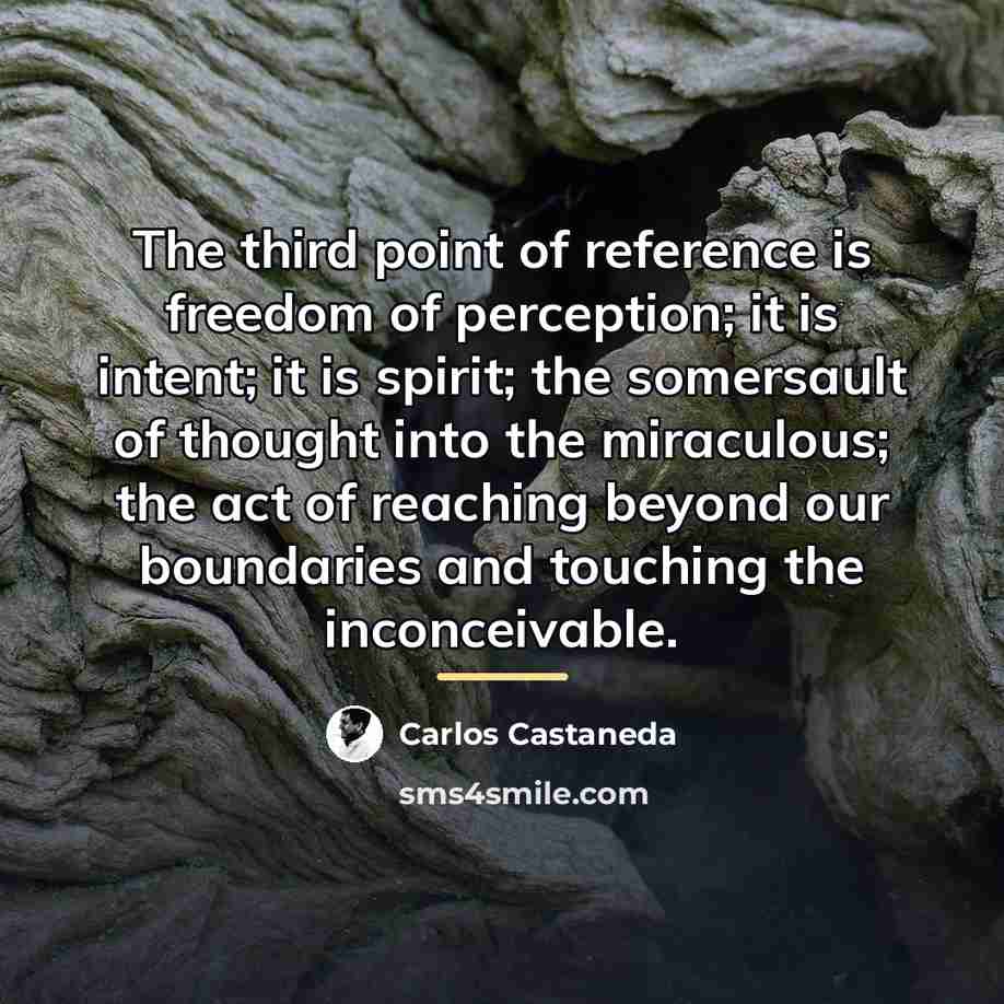 “The third point of reference is freedom of perception; it…” quote by Carlos Castaneda