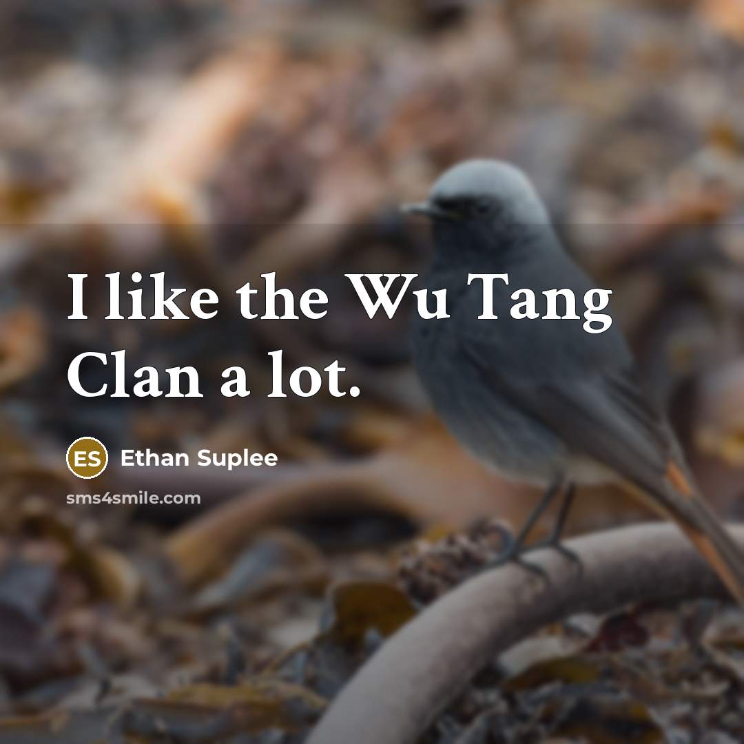“I like the Wu Tang Clan a lot.” quote by Ethan Suplee