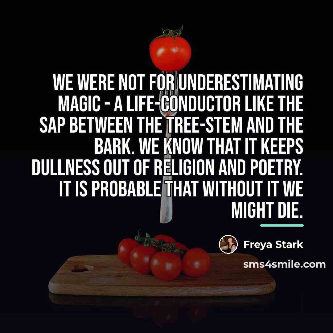 “We were not for underestimating magic - a life-conductor like…” quote by Freya Stark