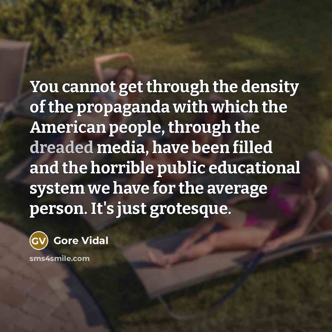 “You cannot get through the density of the propaganda with…” quote by Gore Vidal