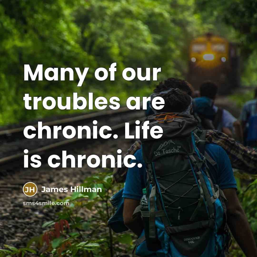 “Many of our troubles are chronic. Life is chronic.…” quote by James Hillman