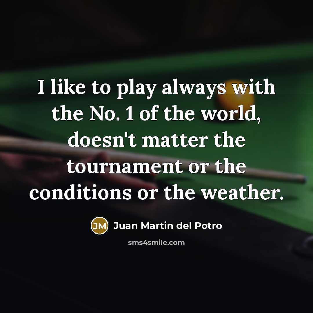 “I like to play always with the No. 1 of…” quote by Juan Martin del Potro