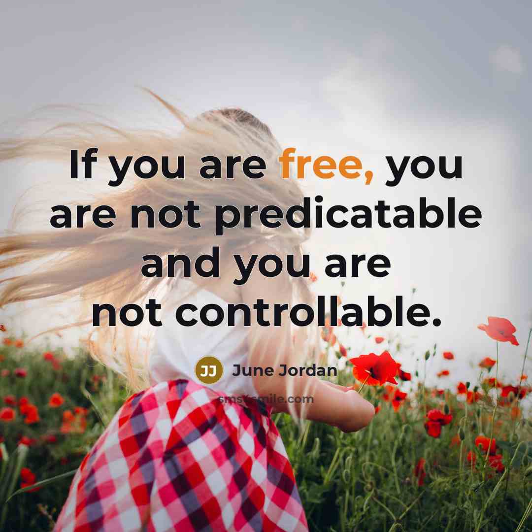 “If you are free, you are not predicatable and you are not controllable.” quote by June Jordan