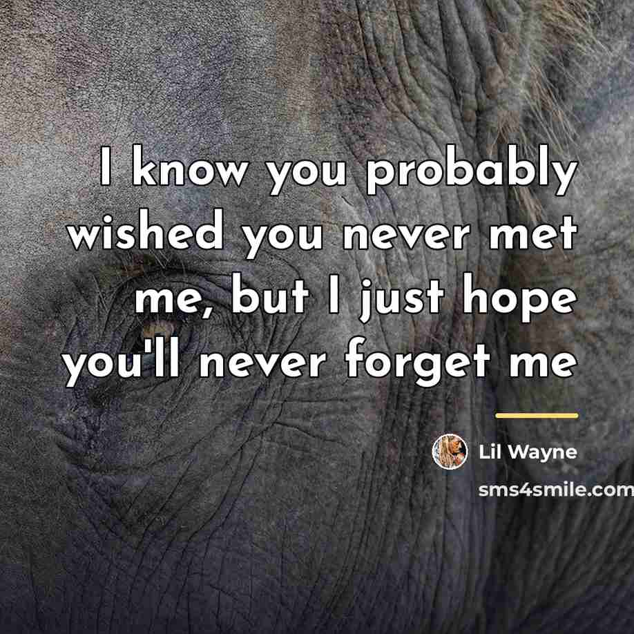 “I know you probably wished you never met me, but…” quote by Lil Wayne