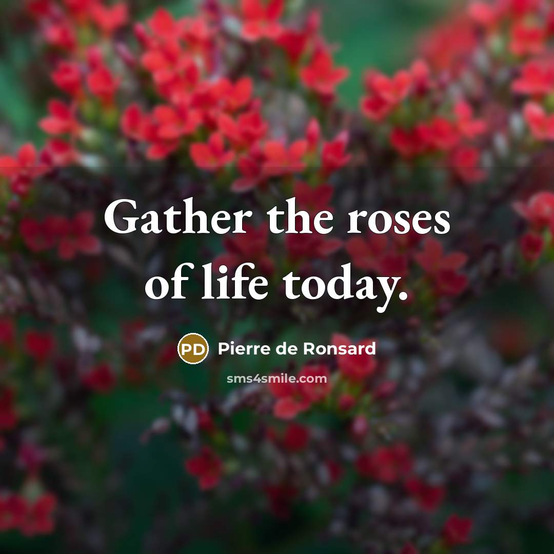 “Gather the roses of life today.…” quote by Pierre de Ronsard