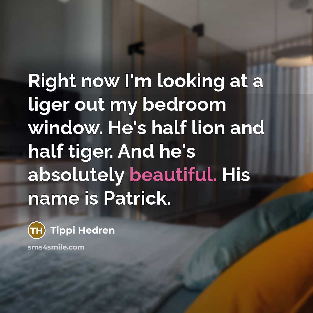 “Right now I'm looking at a liger out my bedroom…” quote by Tippi Hedren