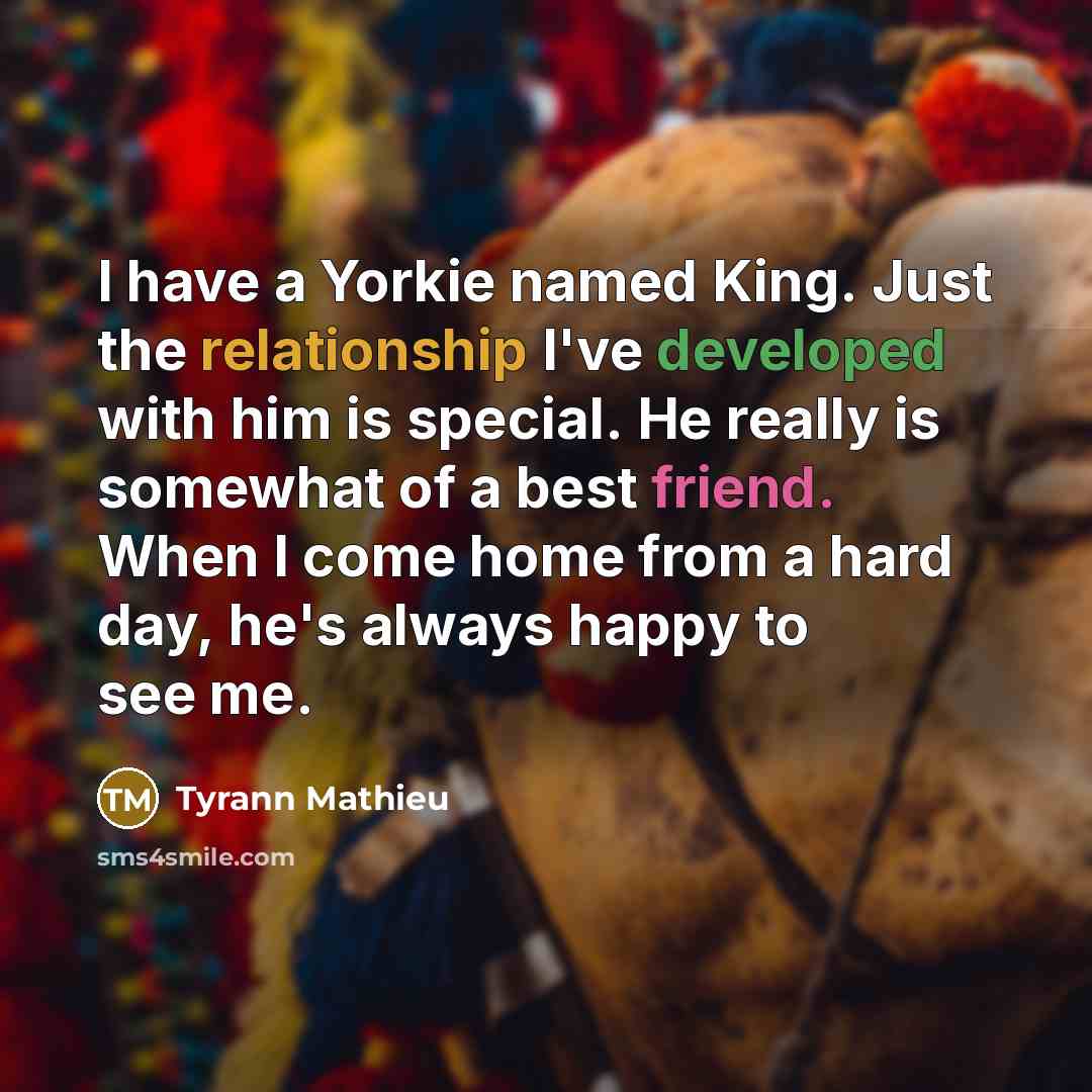 “I have a Yorkie named King. Just the relationship I've developed with him is special. He really is somewhat of a best friend. When I come home from a hard day, he's always happy to see me.” quote by Tyrann Mathieu