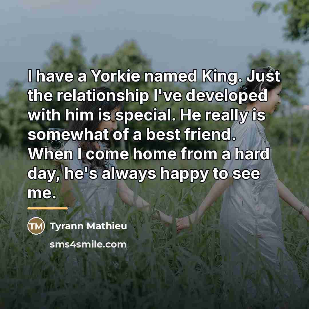 “I have a Yorkie named King. Just the relationship I've…” quote by Tyrann Mathieu