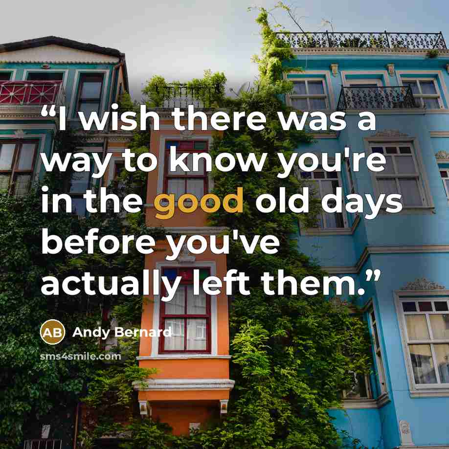 “I wish there was a way to know you're in the good old days before you've actually left them.” quote by Andy Bernard