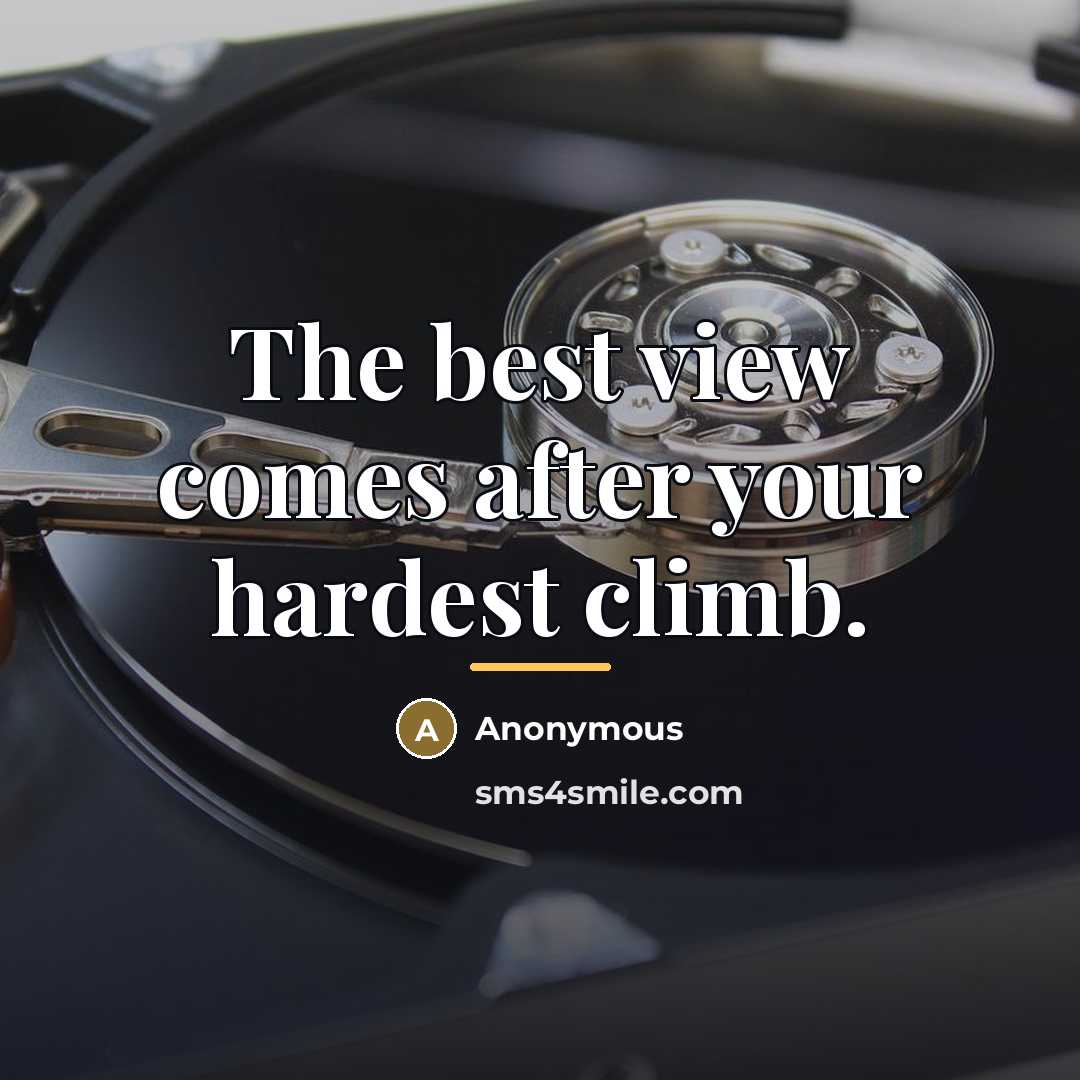 “The best view comes after your hardest climb.…” quote by Anonymous