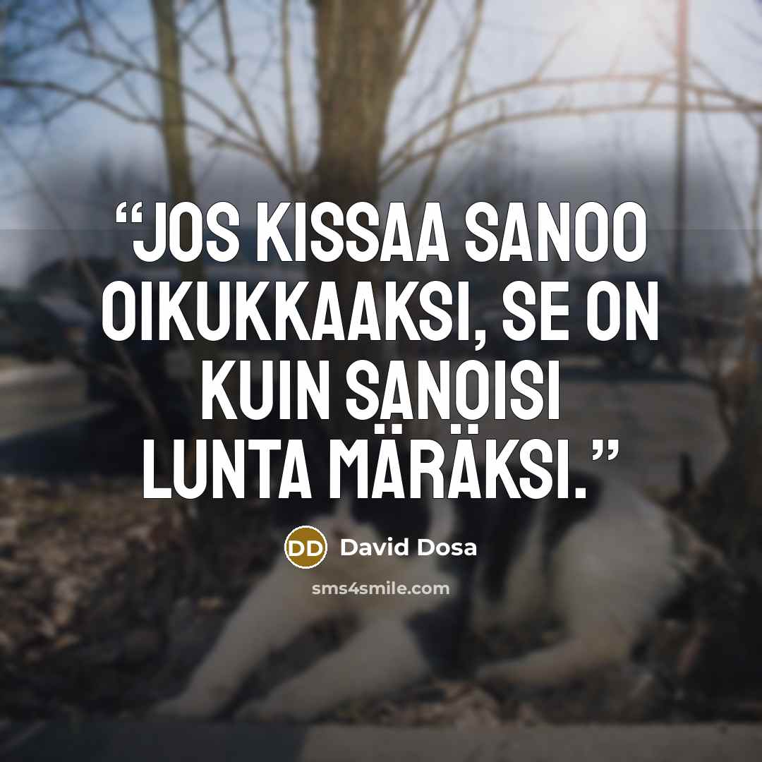 “Jos kissaa sanoo oikukkaaksi, se on kuin sanoisi lunta märäksi.” quote by David Dosa