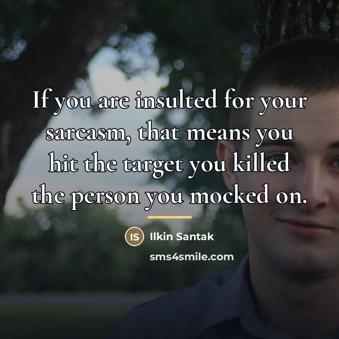 “If you are insulted for your sarcasm, that means you…” quote by Ilkin Santak