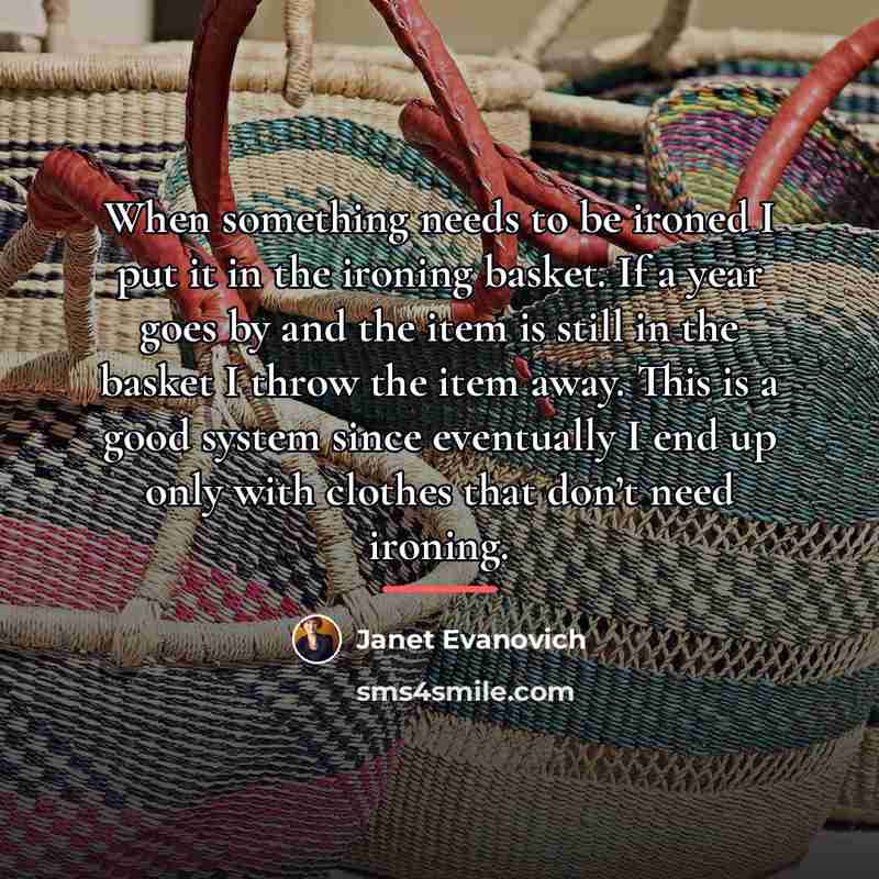 “When something needs to be ironed I put it in…” quote by Janet Evanovich