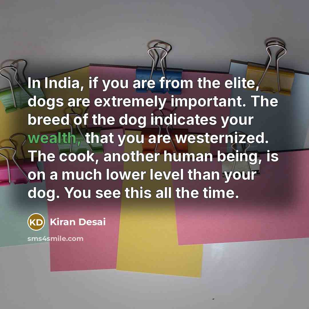 “In India, if you are from the elite, dogs are extremely important. The breed of the dog indicates your wealth, that you are westernized. The cook, another human being, is on a much lower level than your dog. You see this all the time.” quote by Kiran Desai