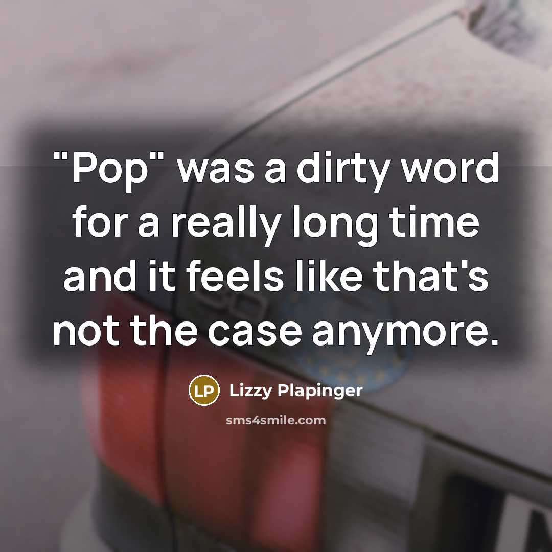 “"Pop" was a dirty word for a really long time…” quote by Lizzy Plapinger