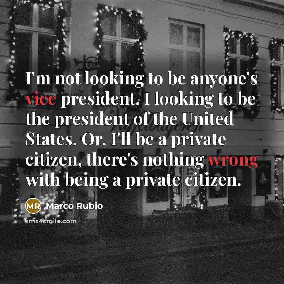 “I'm not looking to be anyone's vice president. I looking to be the president of the United States. Or, I'll be a private citizen, there's nothing wrong with being a private citizen.” quote by Marco Rubio