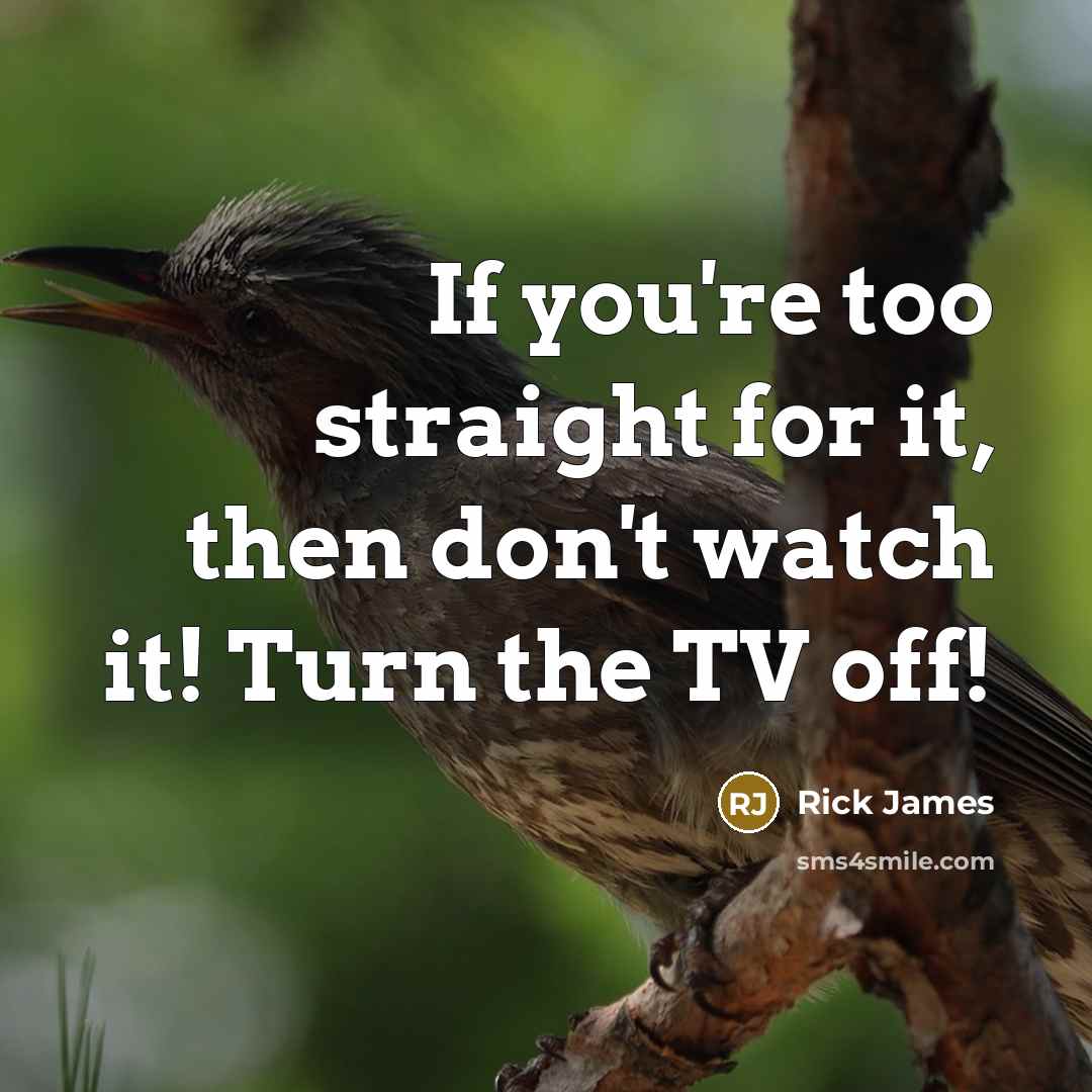 “If you're too straight for it, then don't watch it!…” quote by Rick James