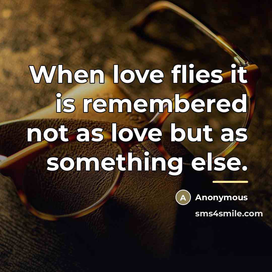“When love flies it is remembered not as love but…” quote by Anonymous