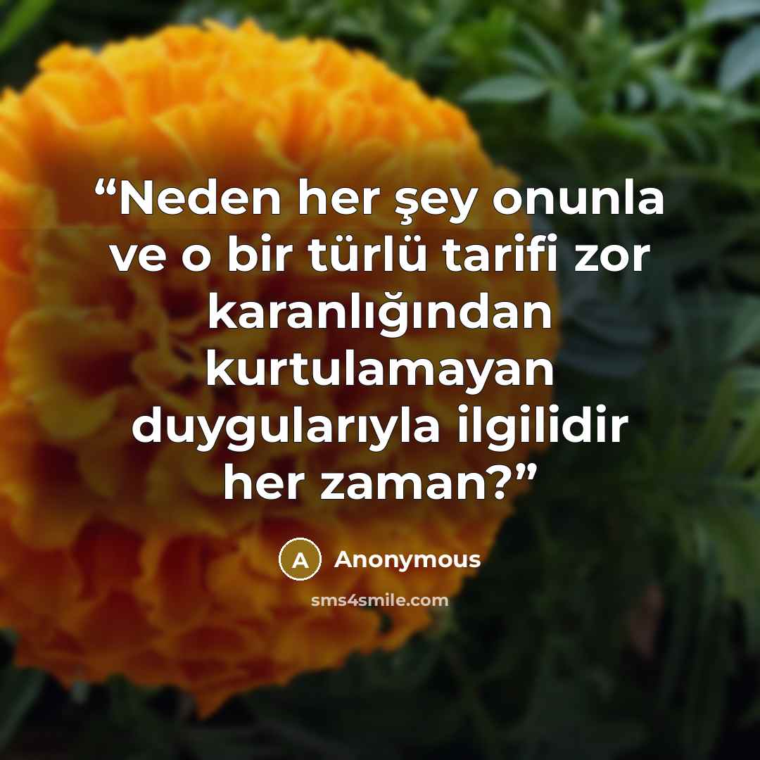 “Neden her şey onunla ve o bir türlü tarifi zor karanlığından kurtulamayan duygularıyla ilgilidir her zaman?” quote by Anonymous