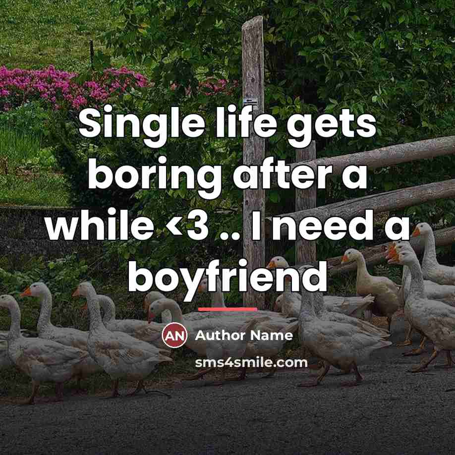 “Single life gets boring after a while…” quote by Author Name