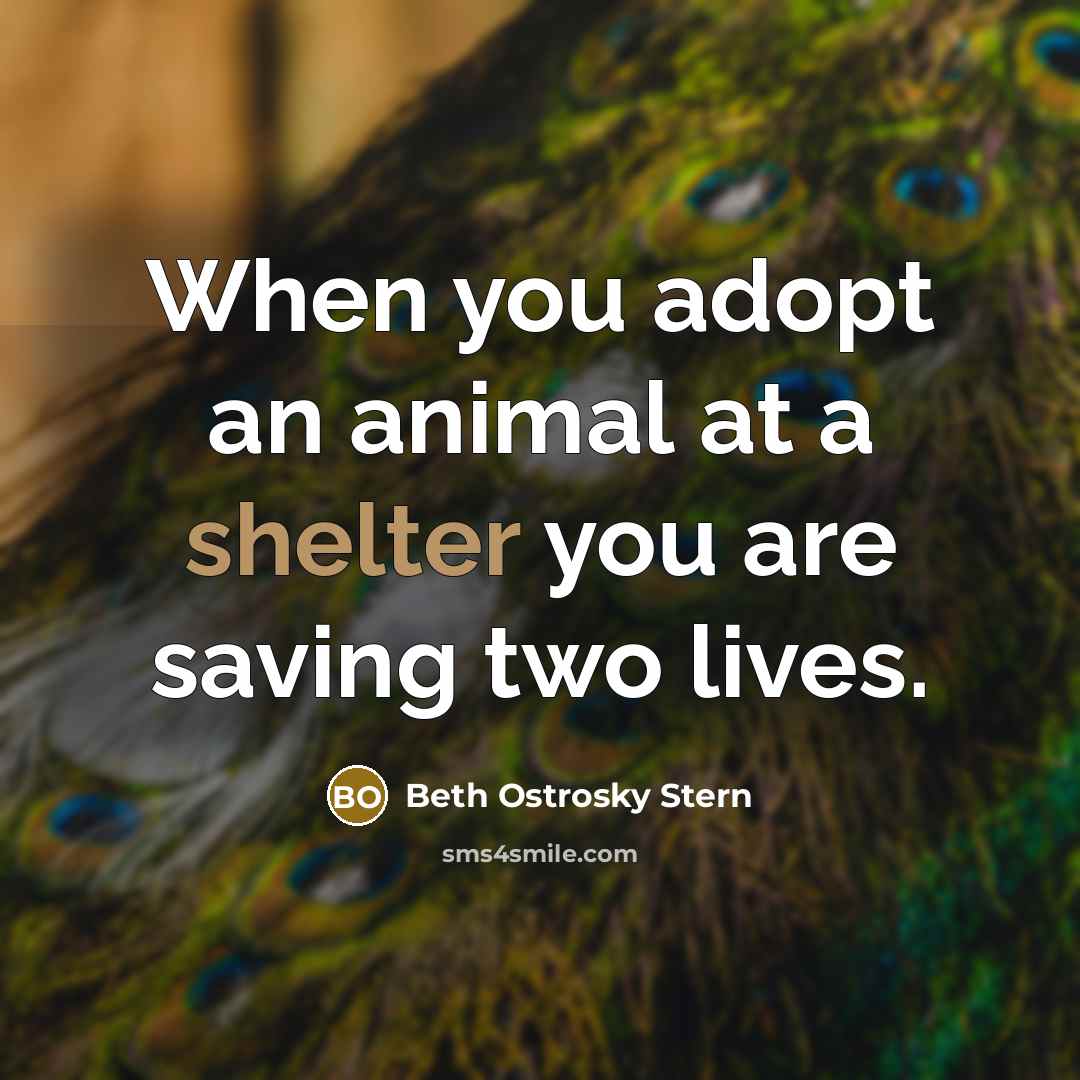 “When you adopt an animal at a shelter you are saving two lives.” quote by Beth Ostrosky Stern