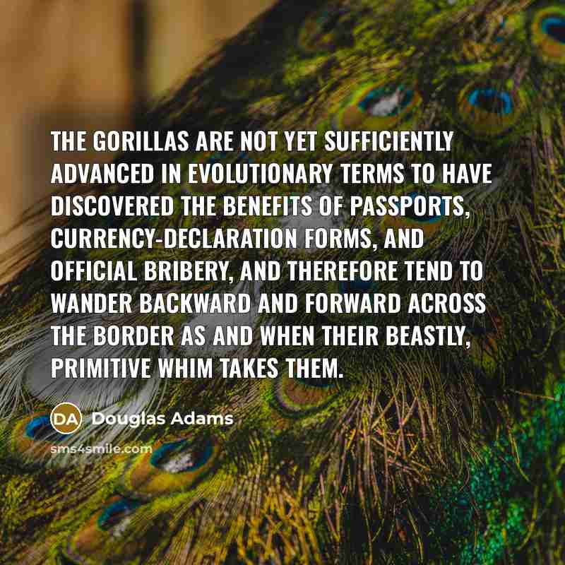 “The gorillas are not yet sufficiently advanced in evolutionary terms…” quote by Douglas Adams