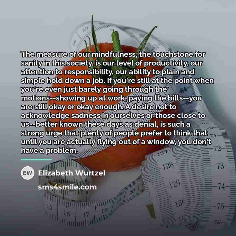 “The measure of our mindfulness, the touchstone for sanity in…” quote by Elizabeth Wurtzel