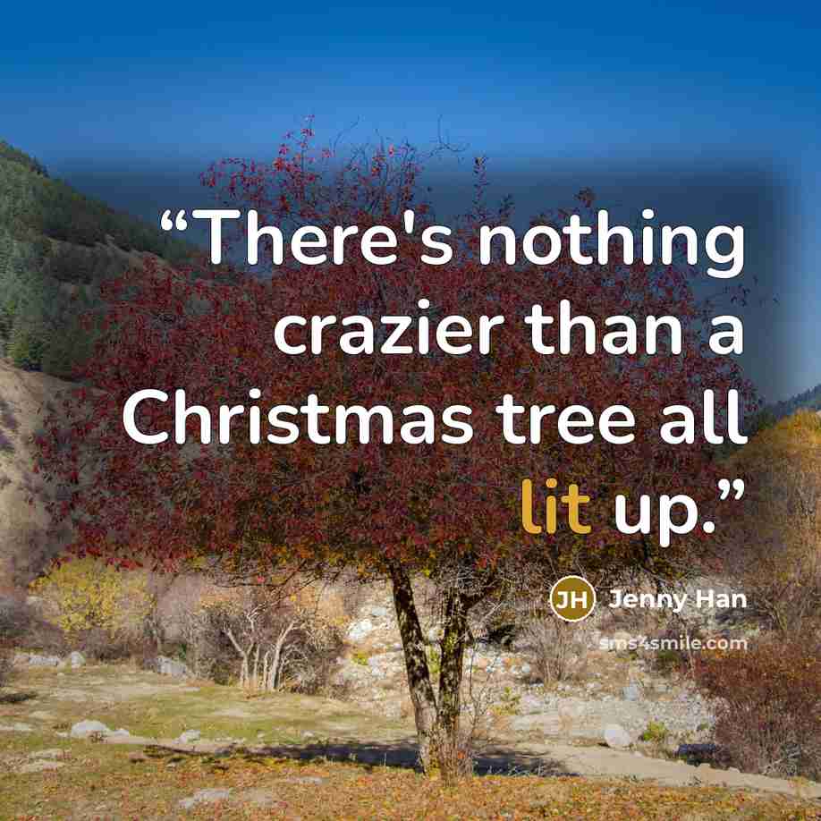 “There's nothing crazier than a Christmas tree all lit up.” quote by Jenny Han