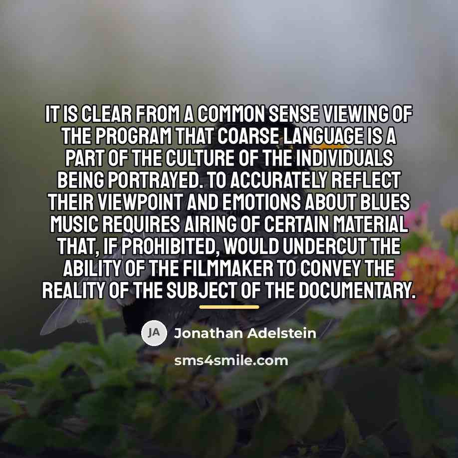 “It is clear from a common sense viewing of the…” quote by Jonathan Adelstein