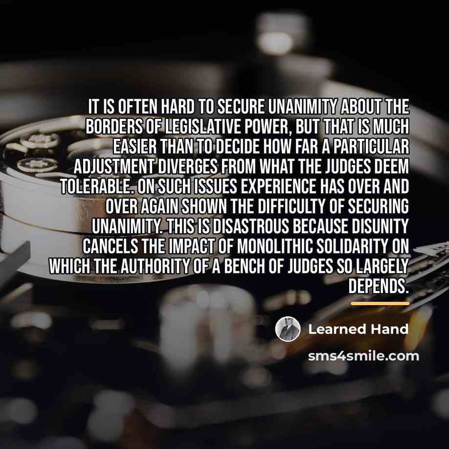 “It is often hard to secure unanimity about the borders…” quote by Learned Hand