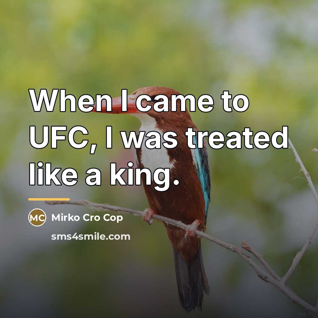 “When I came to UFC, I was treated like a…” quote by Mirko Cro Cop