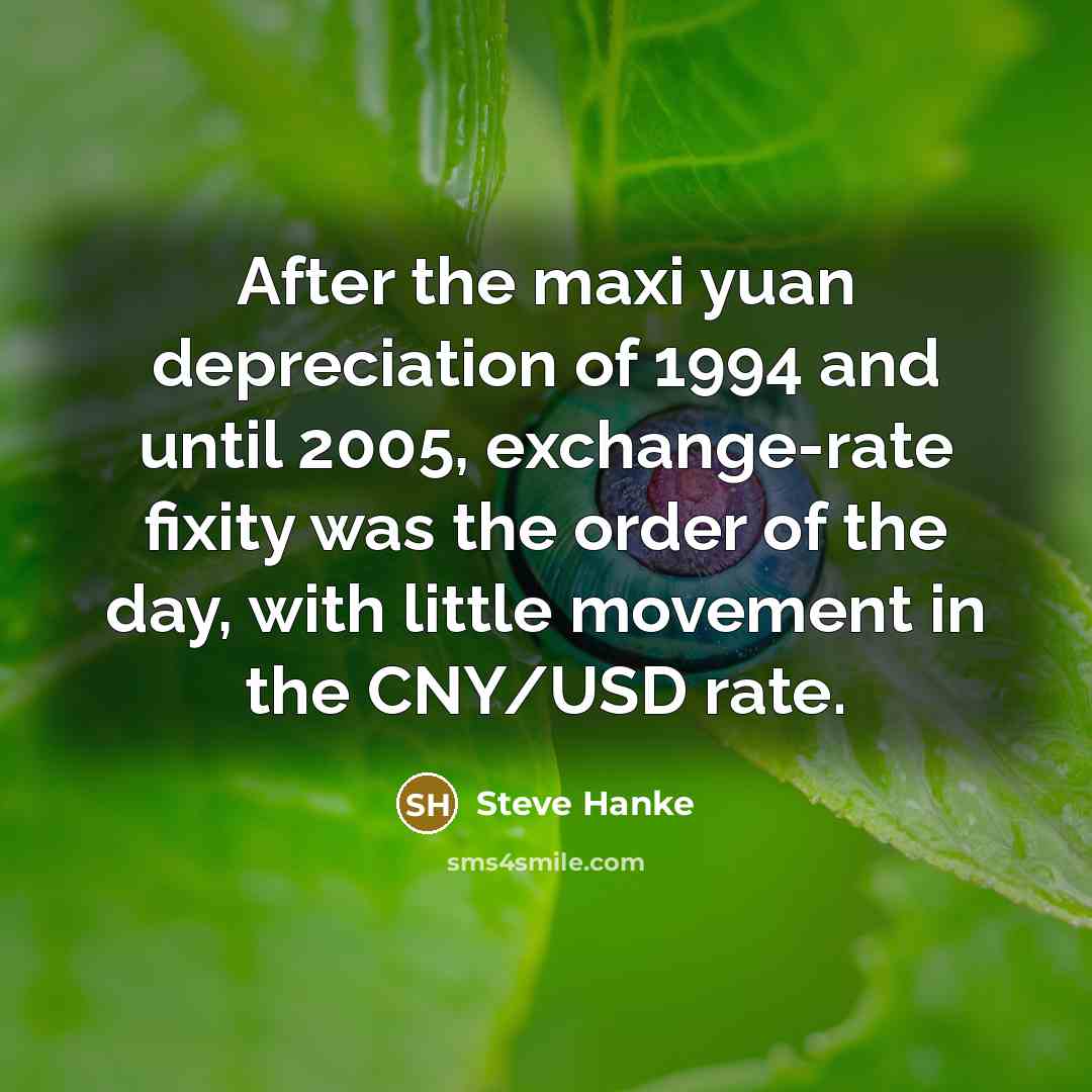 “After the maxi yuan depreciation of 1994 and until 2005,…” quote by Steve Hanke