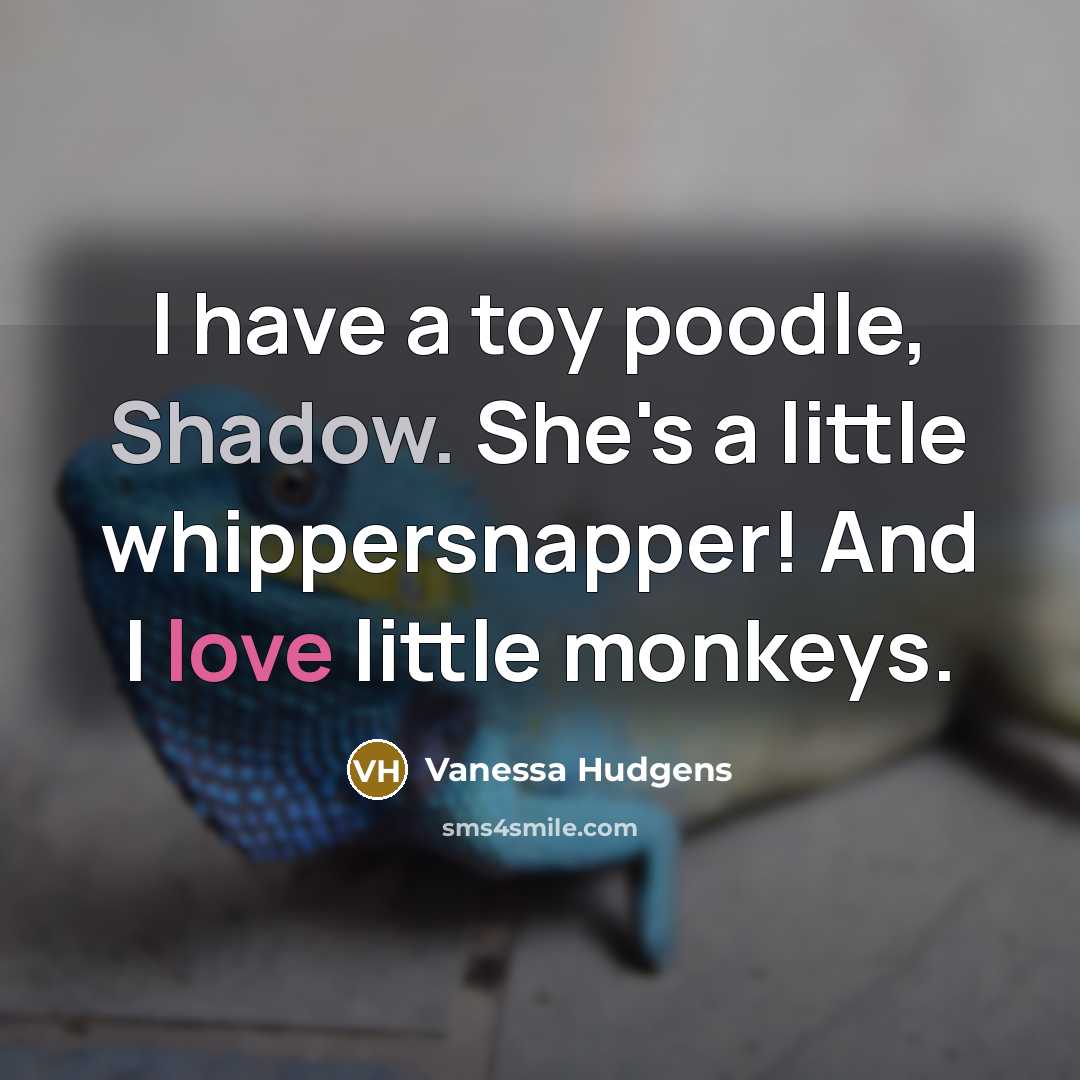 “I have a toy poodle, Shadow. She's a little whippersnapper! And I love little monkeys.” quote by Vanessa Hudgens