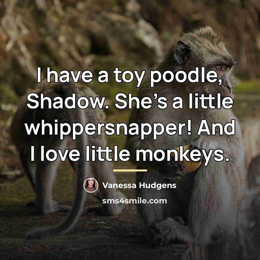 “I have a toy poodle, Shadow. She's a little whippersnapper!…” quote by Vanessa Hudgens